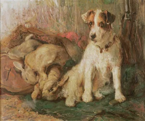 Fox Terrier com o saco de dias